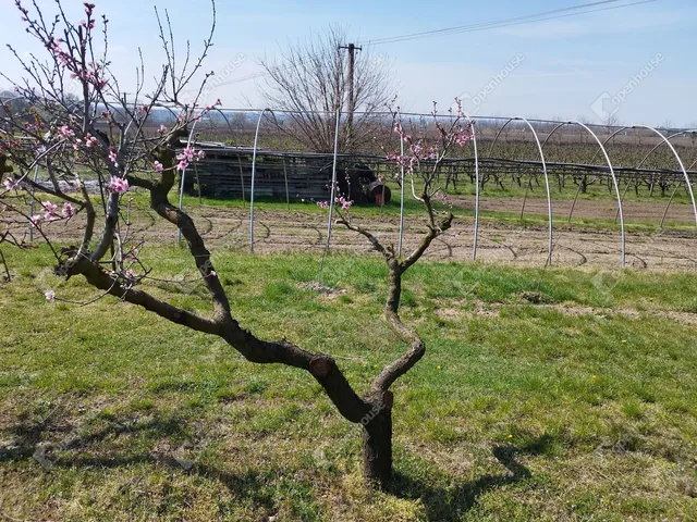 Eladó telek Siófok, Sóstó 835 nm