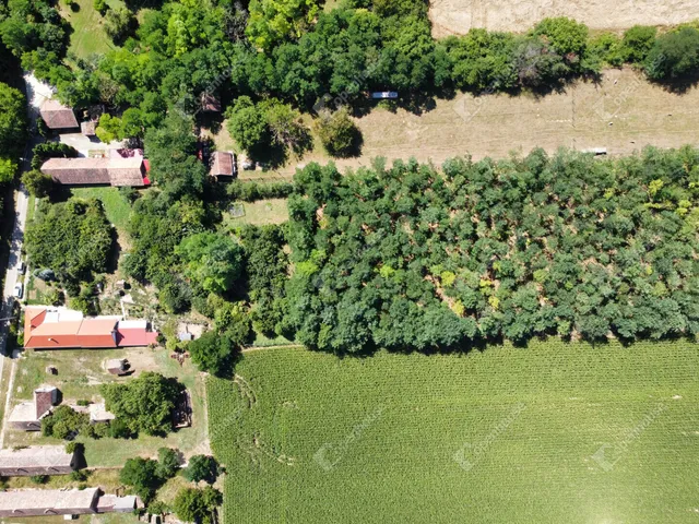 Eladó ház Nágocs 145 nm
