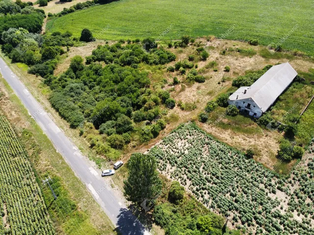Kiadó mezőgazdasági ingatlan Bedegkér 300 nm