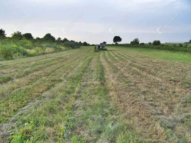 Eladó mezőgazdasági ingatlan Sopron 6303 nm