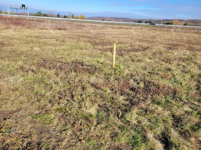 Eladó telek Sopron, Tómalom 3016 nm