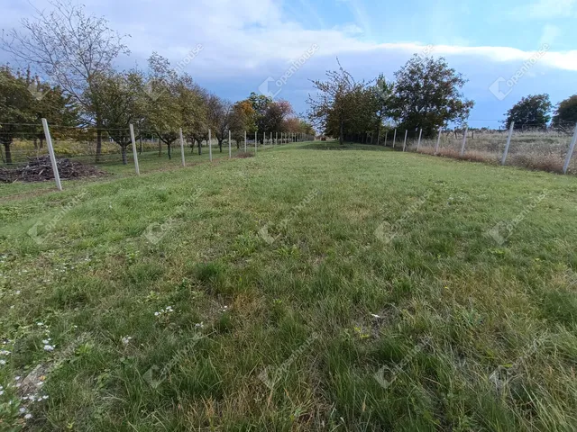 Eladó telek Sopron, Virágvölgy 1493 nm