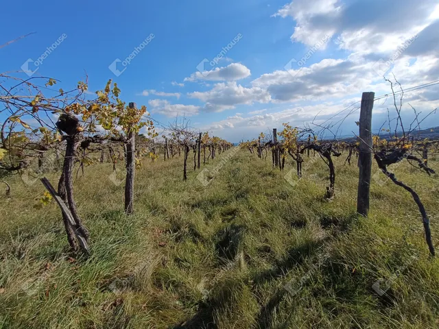 Eladó telek Harka 4400 nm