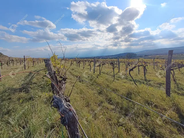 Eladó telek Harka 4400 nm