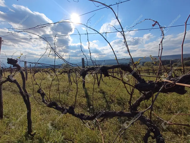 Eladó telek Harka 4400 nm