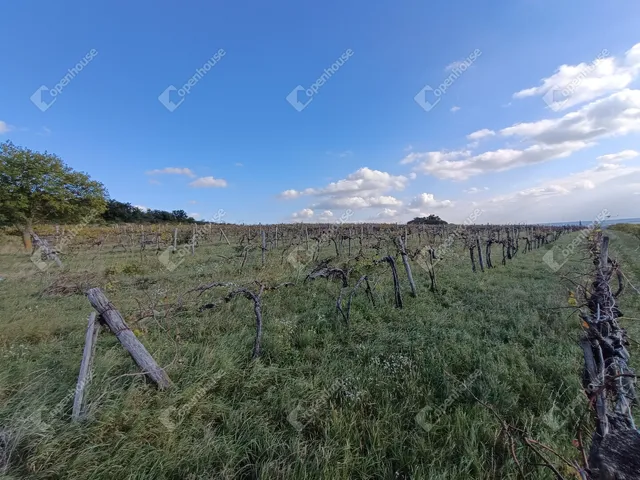Eladó telek Harka 4400 nm
