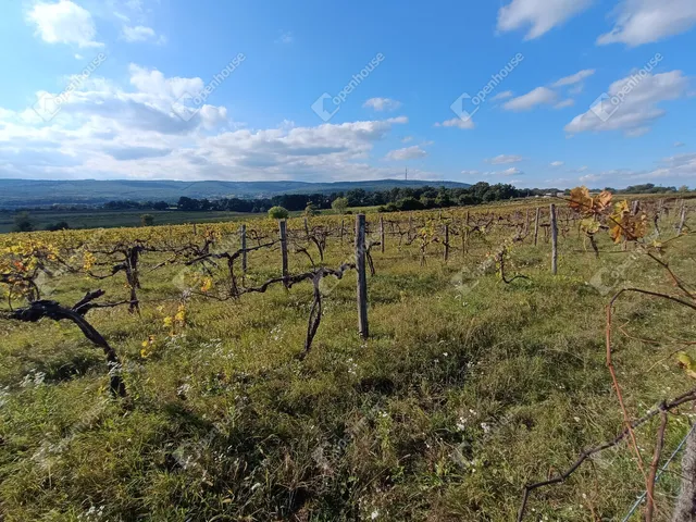 Eladó telek Harka 4400 nm