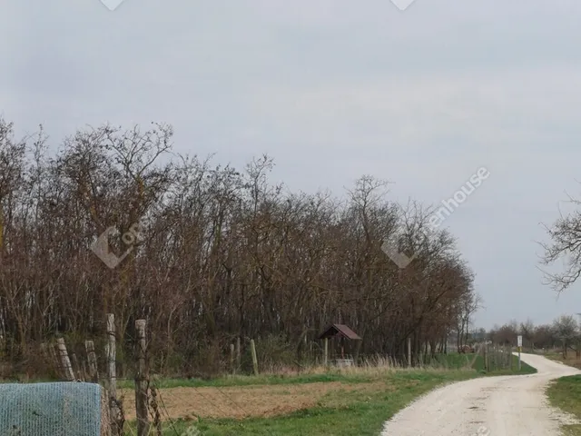 Eladó telek Fertőszentmiklós 1342 nm