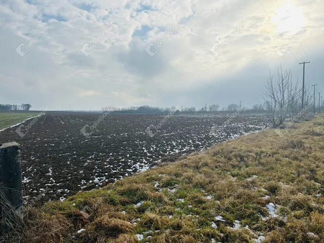Eladó mezőgazdasági ingatlan Pereszteg 53016 nm