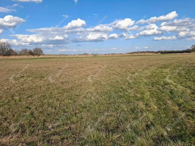 Eladó mezőgazdasági ingatlan Ebergőc 10506 nm