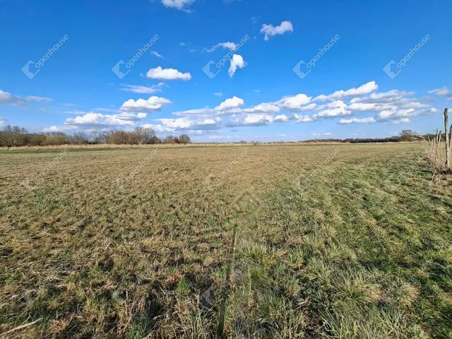 Eladó mezőgazdasági ingatlan Ebergőc 10506 nm