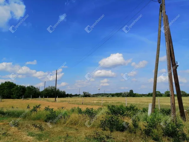 Eladó mezőgazdasági ingatlan Szentes 6200 nm