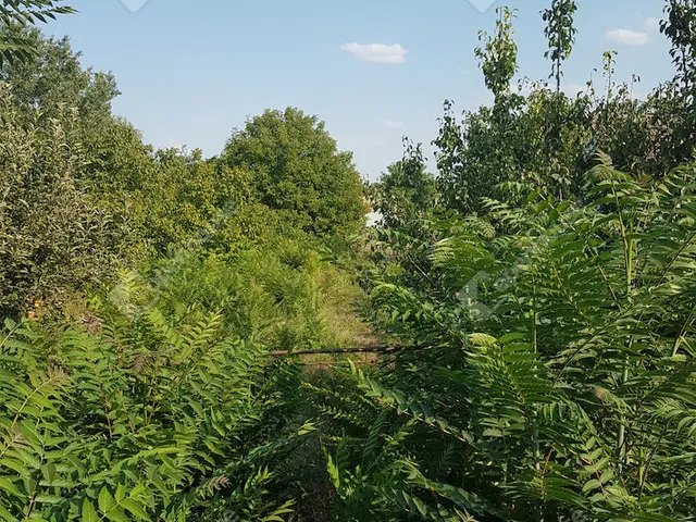 Eladó telek Szeged, Szőreg 1503 nm