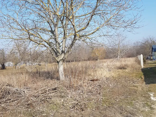 Eladó telek Szeged, Újszeged 1165 nm