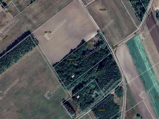 Eladó mezőgazdasági ingatlan Balástya 10065 nm