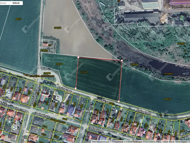 Eladó telek Deszk 2000 nm