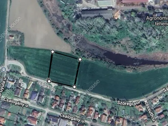 Eladó telek Deszk 2000 nm