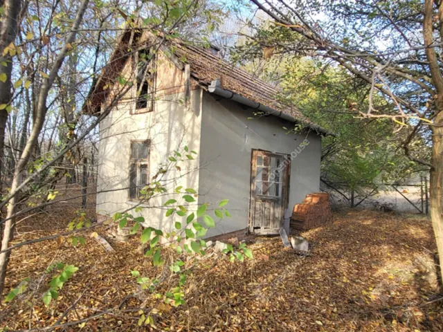 Eladó mezőgazdasági ingatlan Zsombó 20 nm