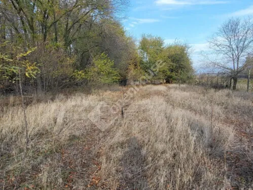 Eladó mezőgazdasági ingatlan Zsombó 20 nm
