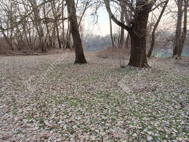 Eladó telek Mindszent 1543 nm