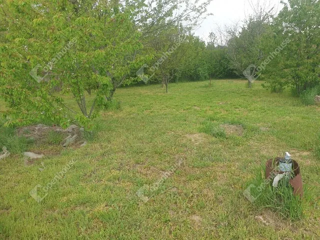 Eladó telek Deszk 800 nm