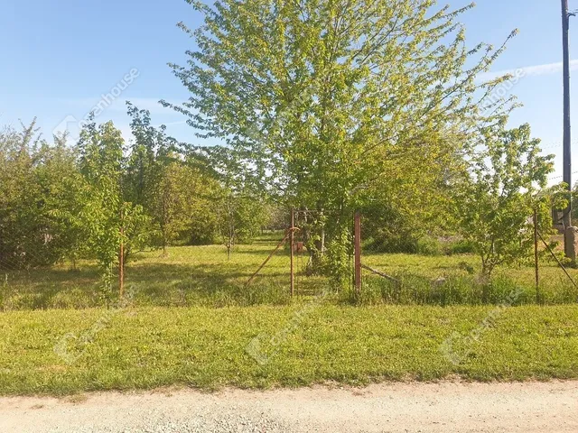 Eladó telek Deszk 800 nm