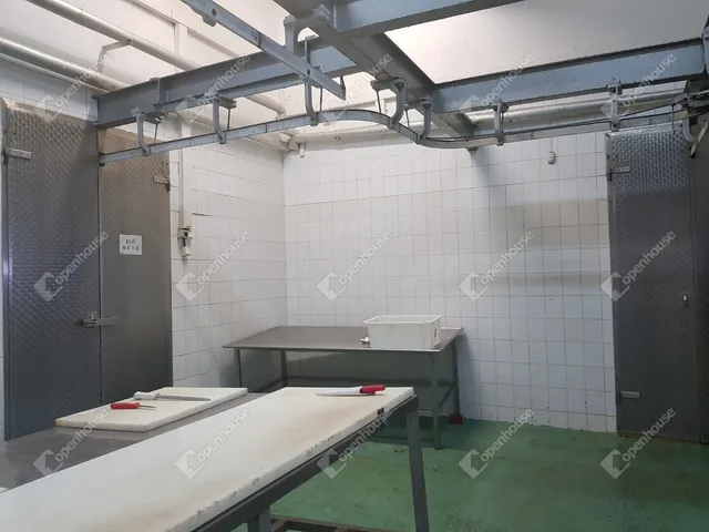Eladó kereskedelmi és ipari ingatlan Hódmezővásárhely 1500 nm