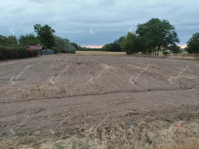 Eladó ház Bordány 85 nm