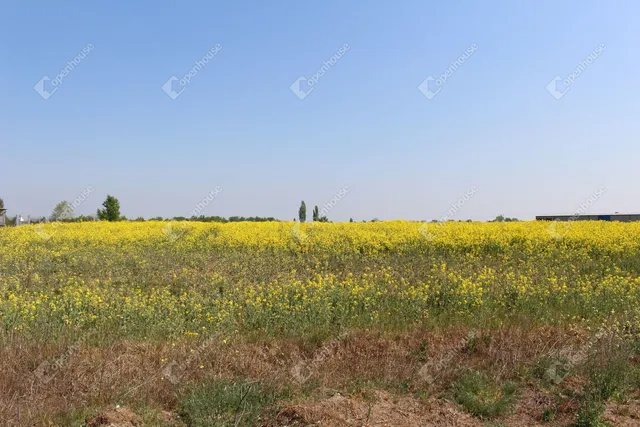 Eladó telek Székesfehérvár, Maroshegy 2852 nm