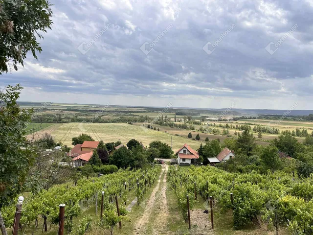 Kiadó ház Csákberény 47 nm