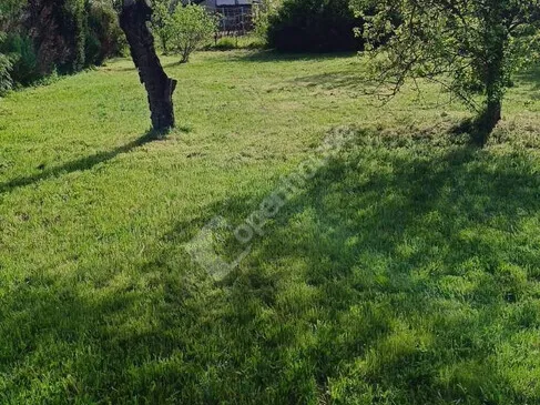 Eladó telek Moha 1000 nm