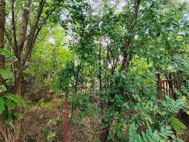 Eladó telek Csór 1658 nm