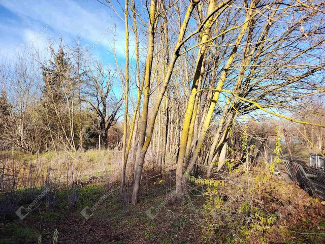 Eladó telek Székesfehérvár, Maroshegy 1964 nm