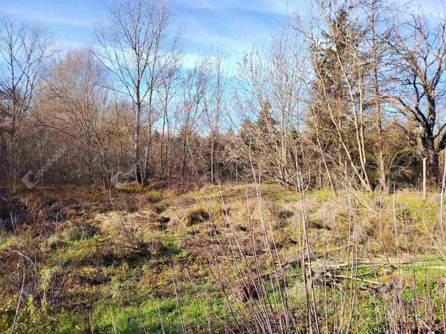 Eladó telek Székesfehérvár, Maroshegy 1964 nm