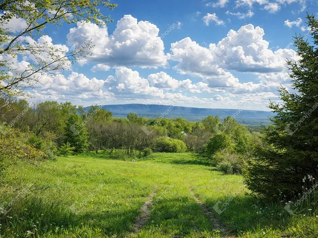 Eladó telek Bodajk 6554 nm