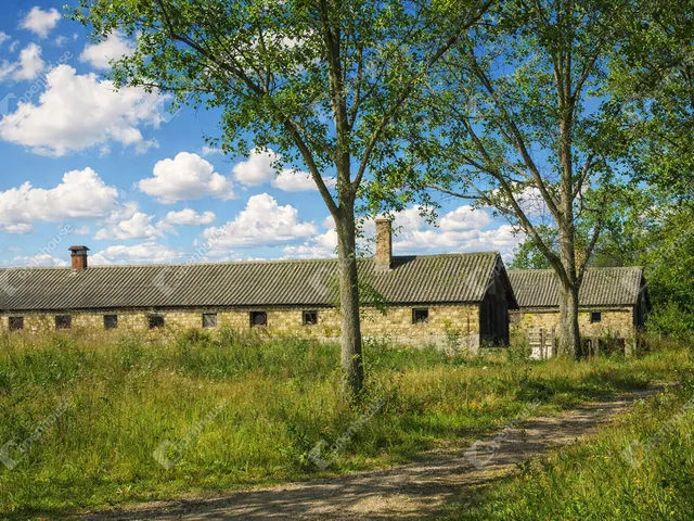 Eladó mezőgazdasági ingatlan Bodajk 71039 nm