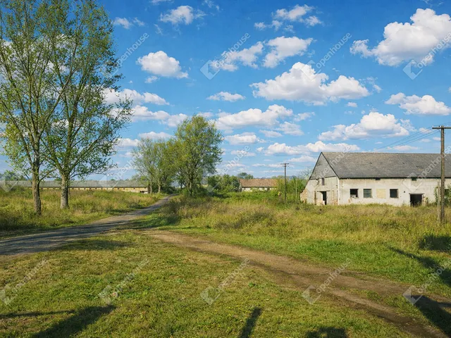Eladó mezőgazdasági ingatlan Bodajk 71039 nm