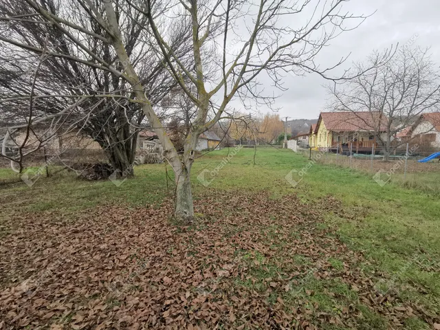 Eladó telek Pákozd 1546 nm