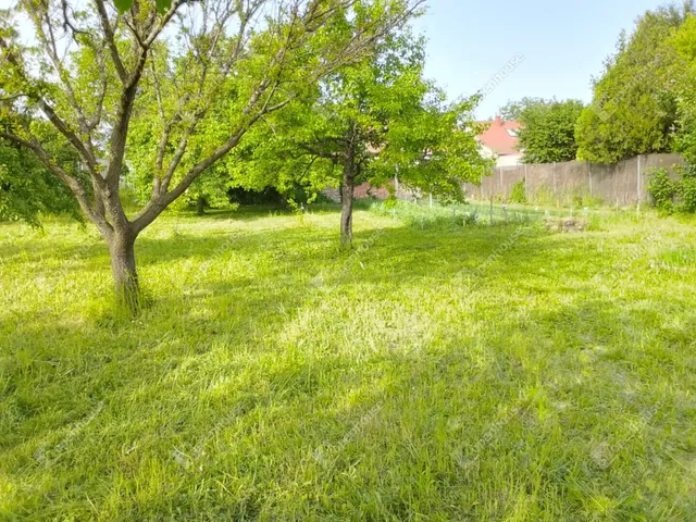 Eladó telek Székesfehérvár, Belváros 800 nm