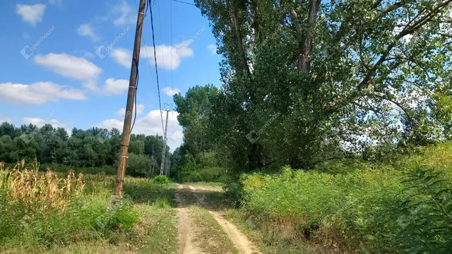 Eladó mezőgazdasági ingatlan Nagykörű 1989 nm