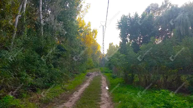 Eladó mezőgazdasági ingatlan Nagykörű 880 nm