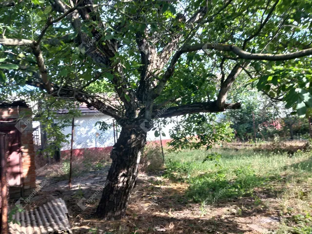Eladó ház Tószeg 114 nm
