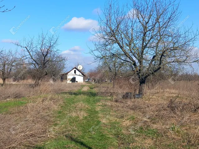 Eladó telek Nagykörű 1939 nm