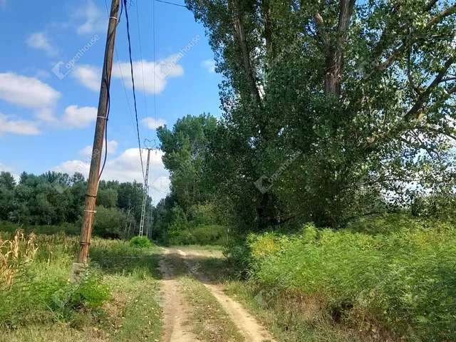 Eladó telek Nagykörű 1989 nm