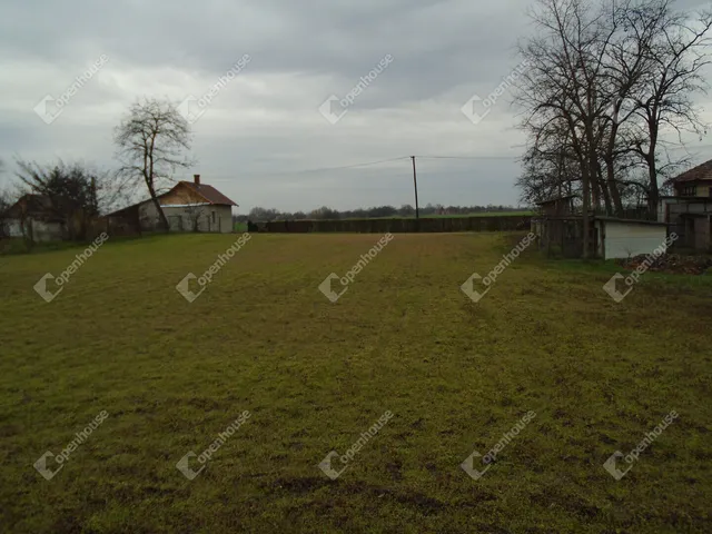 Eladó telek Cserkeszőlő 2789 nm