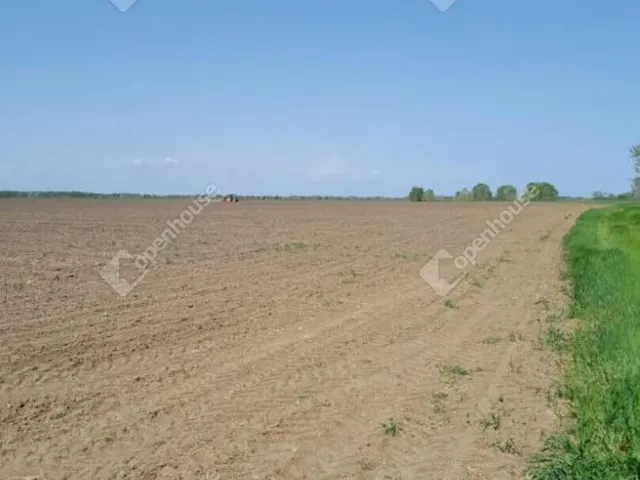 Eladó mezőgazdasági ingatlan Tiszabő 120148 nm