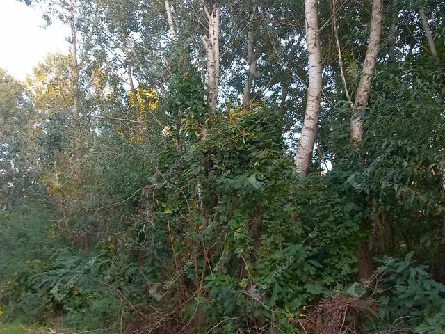 Eladó telek Nagykörű 880 nm
