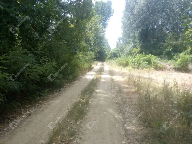 Eladó telek Nagykörű 1238 nm