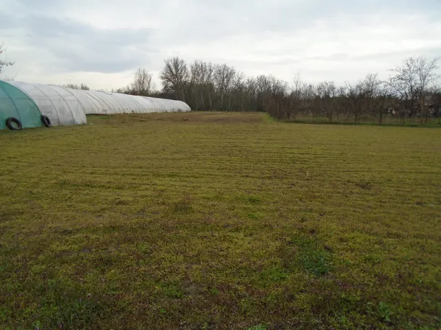 Eladó telek Cserkeszőlő 2789 nm