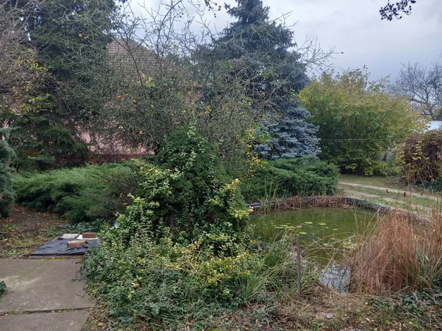 Eladó ház Gádoros 86 nm